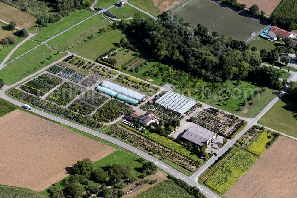 Abstatt from above - Row of trees on fields of GartenBaumschule Krauss GbR Im Mitteltal in Abstatt in the state Baden-Wurttemberg, Germany