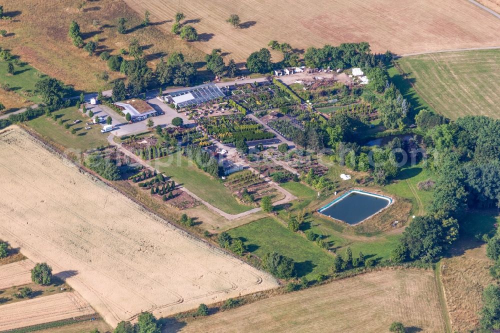 Neuhausen from the bird's eye view: Row of trees on fields of Baumschule Erhardt in Neuhausen in the state Baden-Wurttemberg, Germany