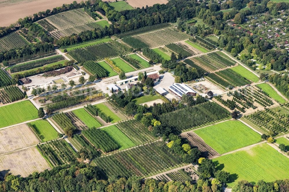 Aerial photograph München - Row of trees on fields of Baumschulen in Munich in the state Bavaria, Germany