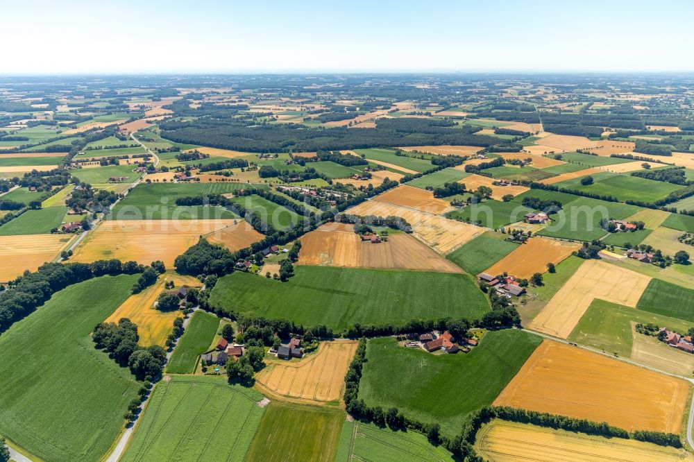 Kiebitzheide from the bird's eye view: Row of trees on fields near Kiebitzheide in the state North Rhine-Westphalia, Germany