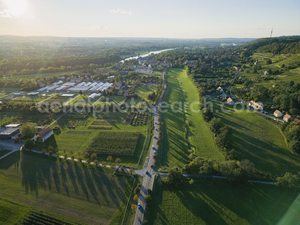 Aerial photograph Dresden - Row of trees on fields Ueberbetriebliche Ausbildungsstaette fuer Gaertner (UeBA) on street Lohmener Strasse in the district Pillnitz in Dresden in the state Saxony, Germany