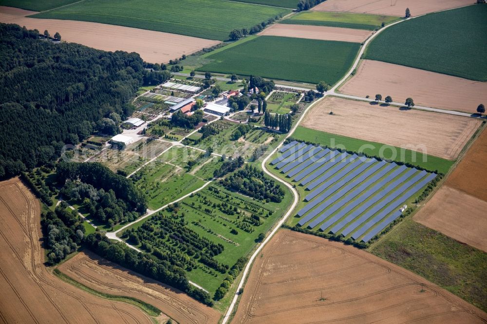 Fahrenzhausen from the bird's eye view: Row of trees on fields FischerA?s Baum- and Rosenschulen along Baernau in Fahrenzhausen in the state Bavaria, Germany