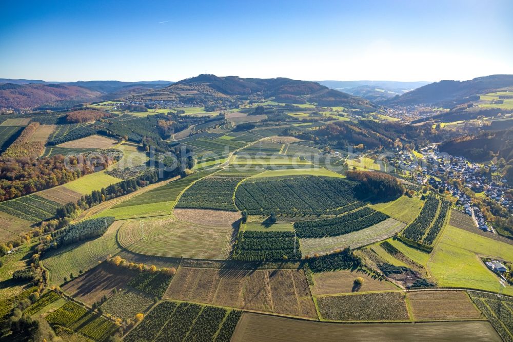 Aerial image Heringhausen - Row of trees on fields in Heringhausen at Sauerland in the state North Rhine-Westphalia, Germany