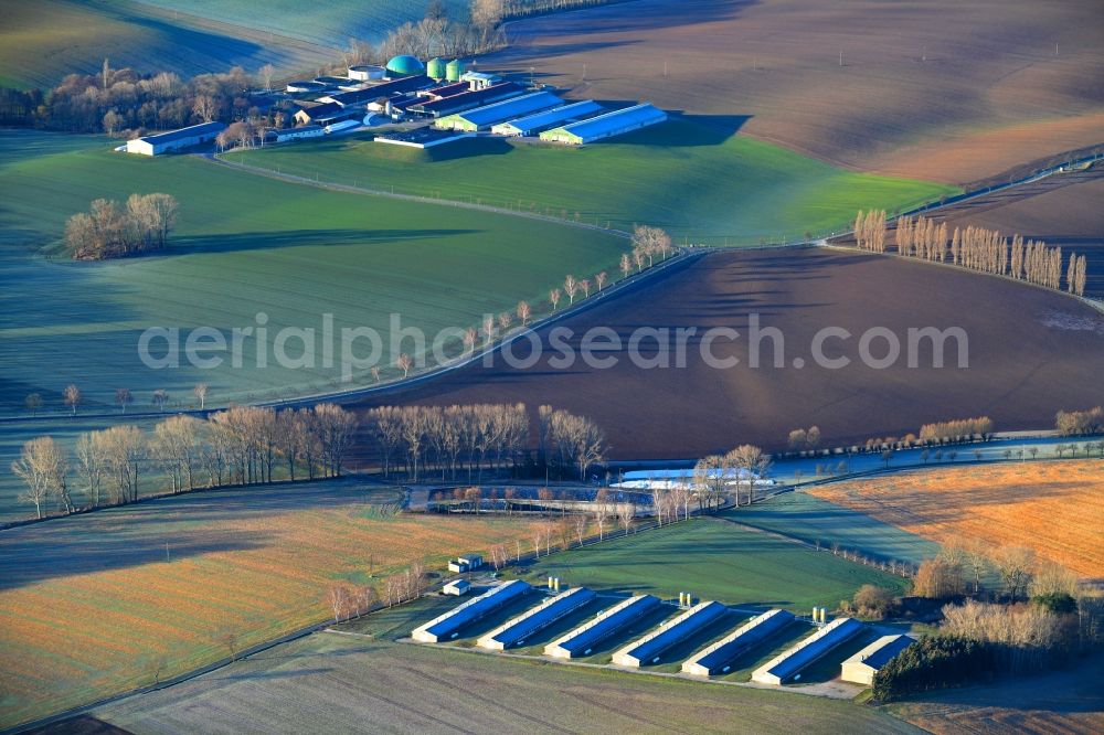 Aerial image Lommatzsch - Row of trees on fields of in Lommatzsch in the state Saxony, Germany