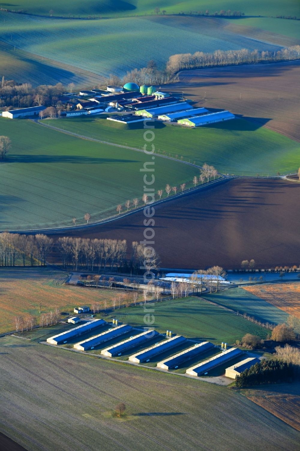 Aerial photograph Lommatzsch - Row of trees on fields of in Lommatzsch in the state Saxony, Germany