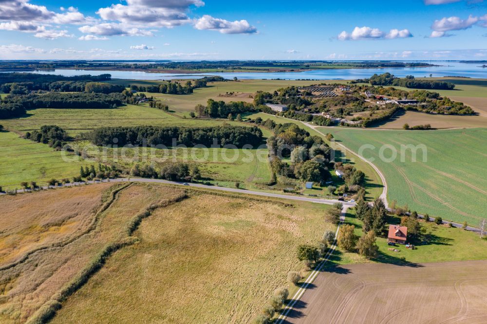 Aerial photograph Neuenkirchen - Row of trees on fields on street Klein Grubnow in Neuenkirchen in the state Mecklenburg - Western Pomerania, Germany