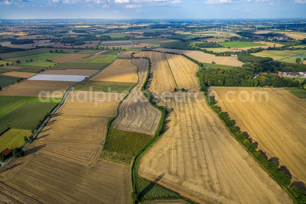 Westönnen from the bird's eye view: Row of trees on fields in Westoennen at Ruhrgebiet in the state North Rhine-Westphalia, Germany