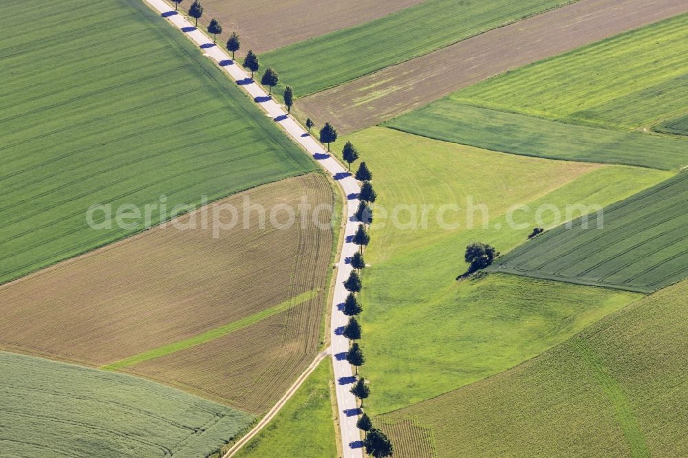 Schwindegg from the bird's eye view: Trees in rows scenery along the roadside on the district Walkersaich Schwindegg in Bavaria