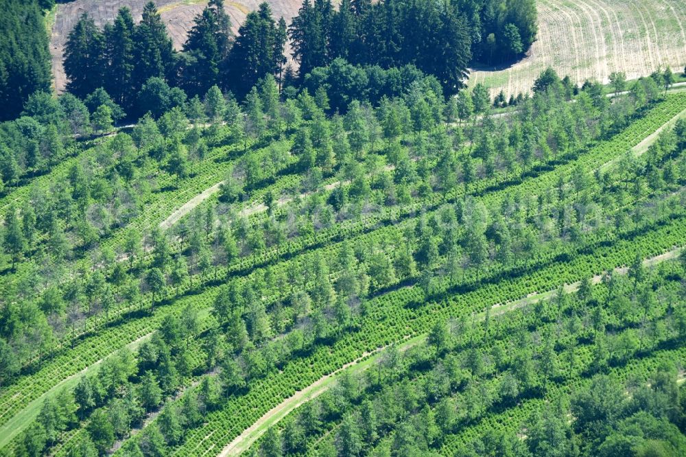 Windorf from above - Structures on agricultural fields in Windorf in the state Bavaria, Germany