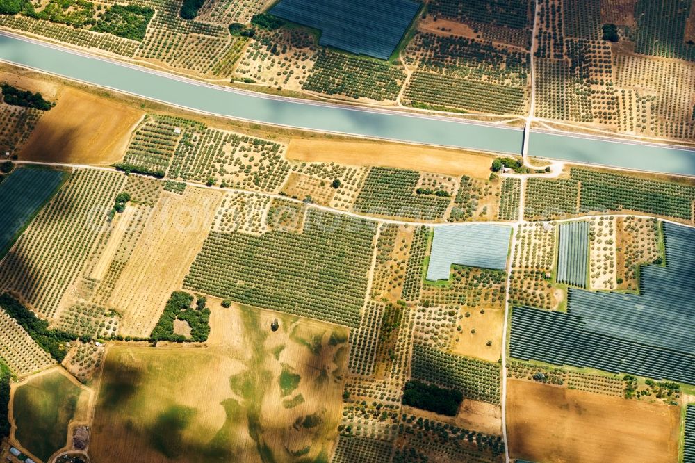 Peyruis from the bird's eye view: Tree rows of a fruit plantation on a field in Peyruis at the Durance valley in Provence-Alpes-Cote d'Azur, France