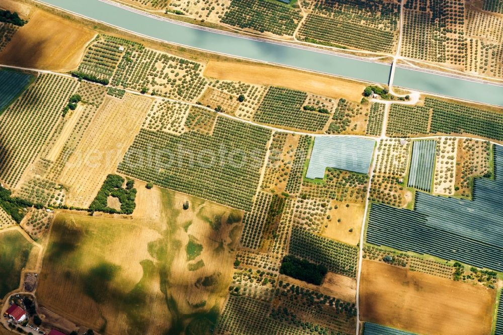 Aerial image Peyruis - Tree rows of a fruit plantation on a field in Peyruis at the Durance valley in Provence-Alpes-Cote d'Azur, France