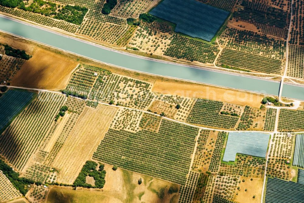 Aerial photograph Peyruis - Tree rows of a fruit plantation on a field in Peyruis at the Durance valley in Provence-Alpes-Cote d'Azur, France