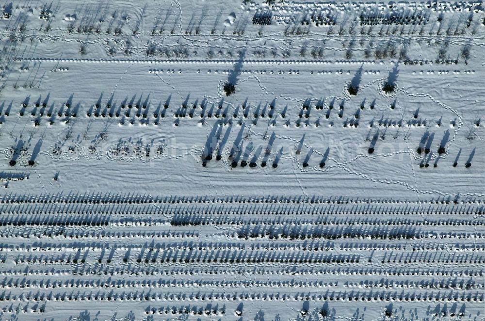 Aerial image Aalen - View of tree rows in the snow in Aalen in the state Baden-Wuerttemberg