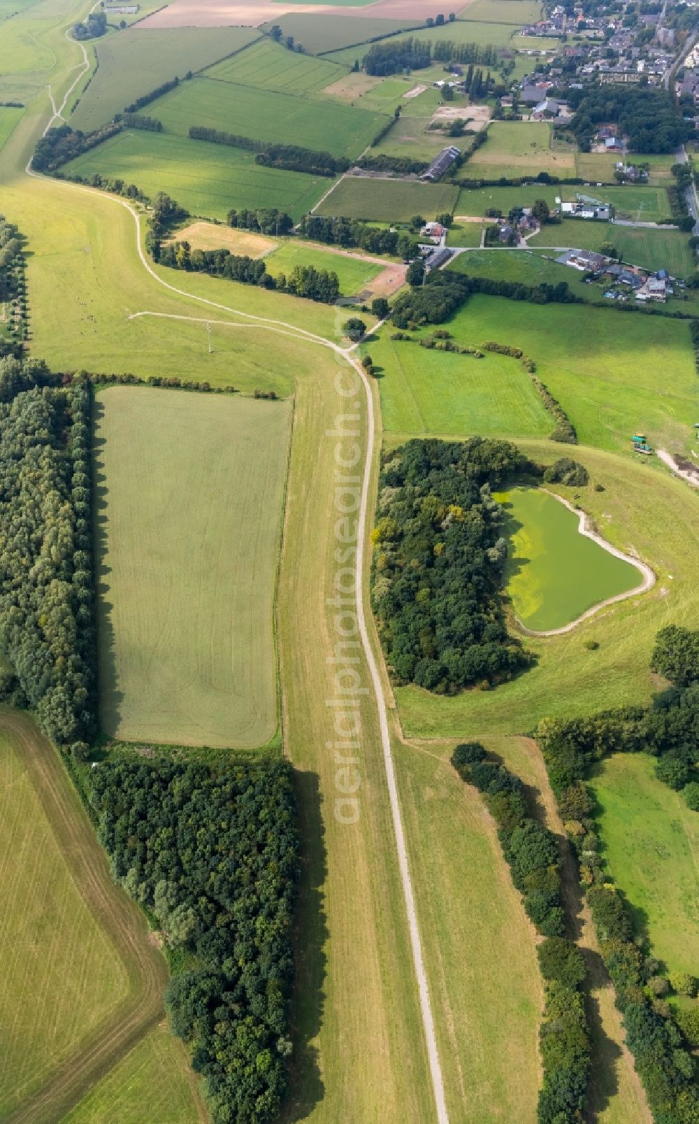 Aerial photograph Emmerich am Rhein - Row of trees and a pond on a country road on a field edge in Emmerich am Rhein in the state North Rhine-Westphalia, Germany