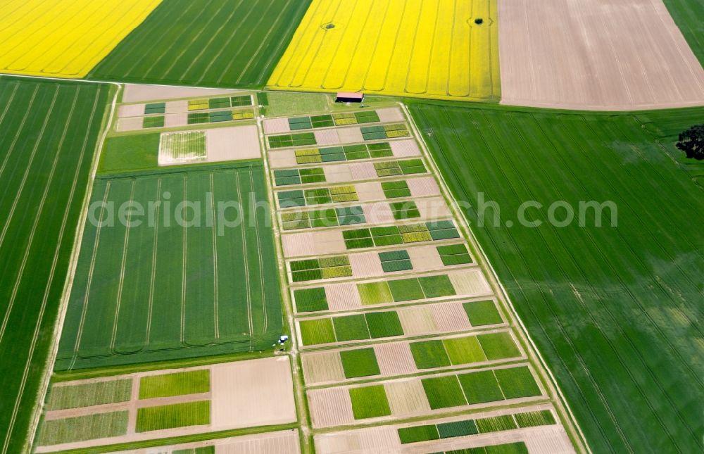 Aerial image Bad Belzig - Tree nursery at Dahnsdorf Planetal in Bad Belzig in the state Brandenburg, Germany