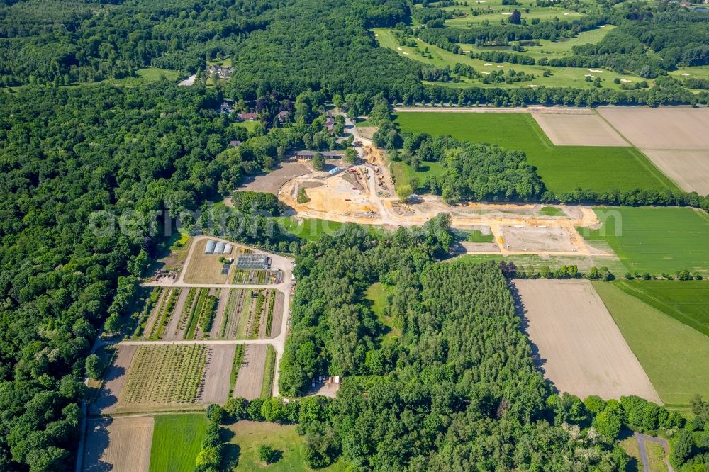 Aerial image Gelsenkirchen - Tree rows in a nursery garden / market garden in the forest accommodation Buer / Resse in the district of Resse in Gelsenkirchen in the federal state North Rhine-Westphalia, Germany