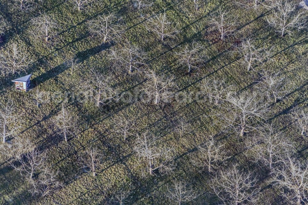 Aerial image Kumhausen - Tree experimental and educational garden in Kumhausen in Bavaria