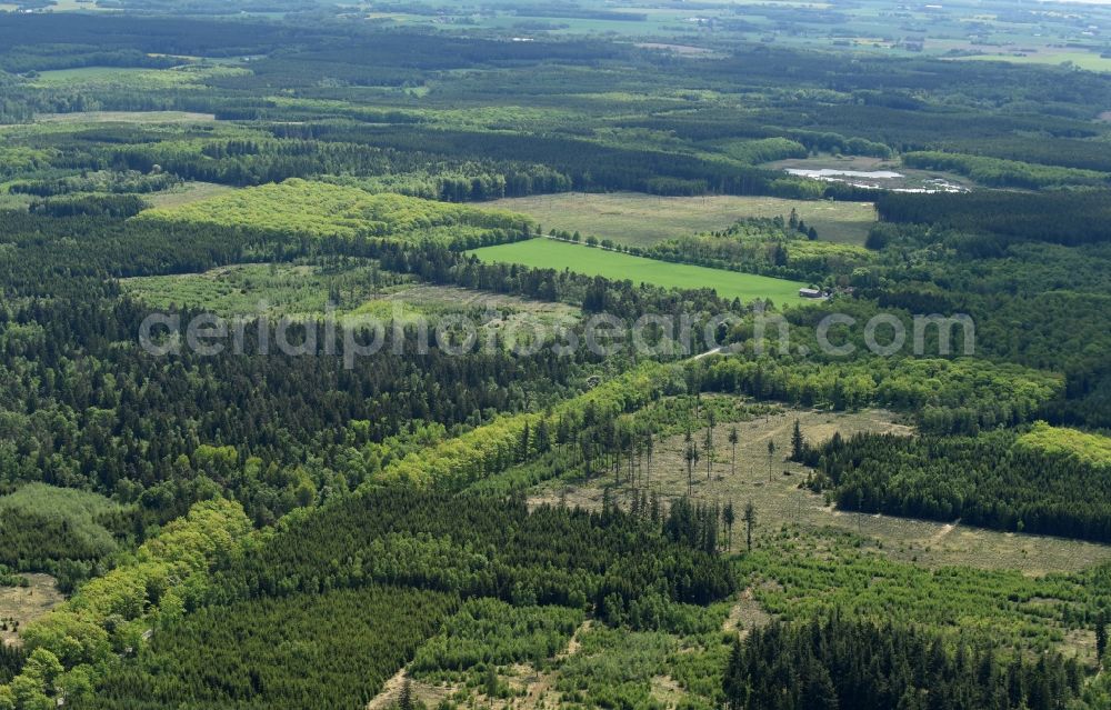 Aakirkeby from above - Treetops in a wooded area in Aakirkeby Bornholm Island in Region Hovedstaden, Denmark