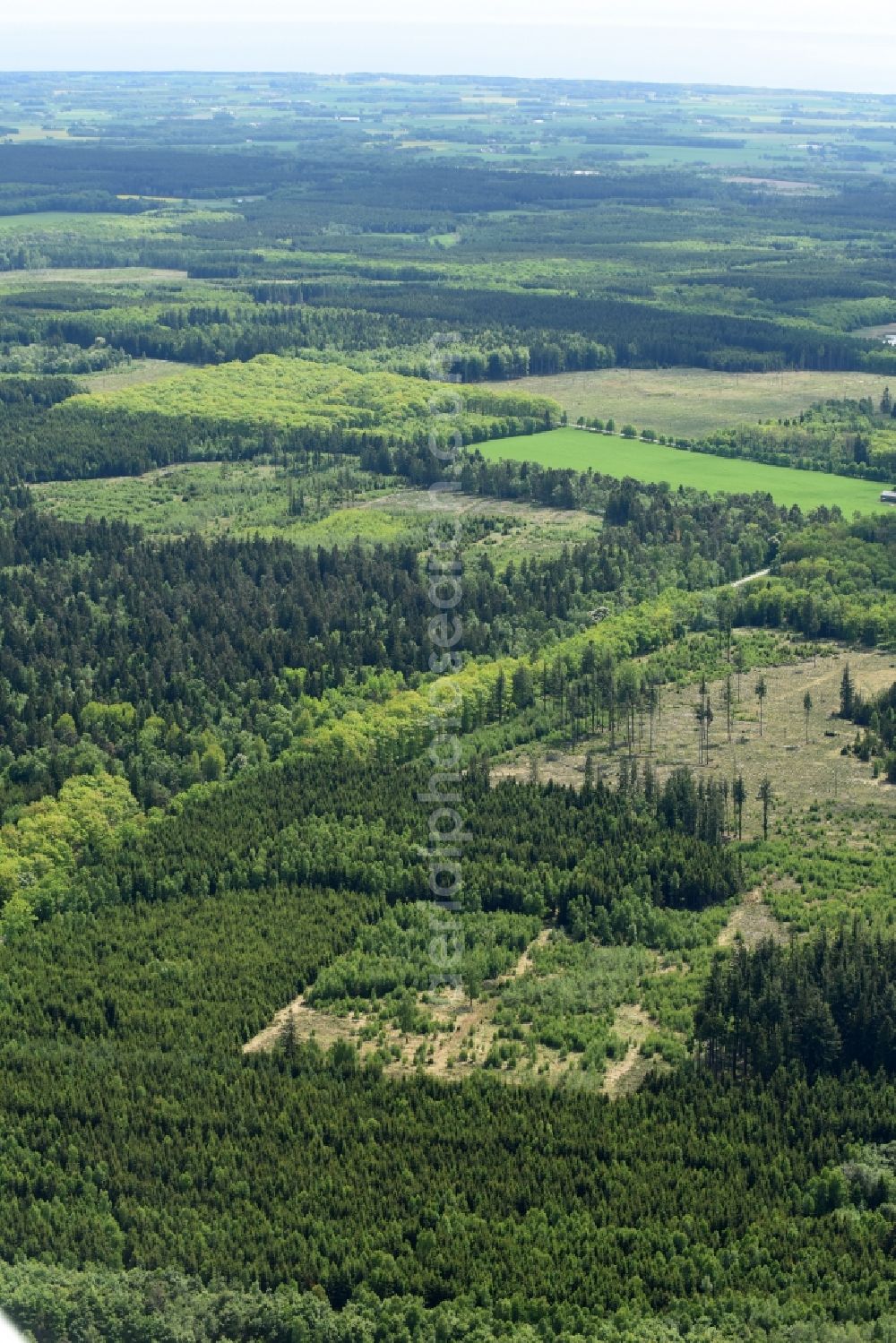 Aakirkeby from the bird's eye view: Treetops in a wooded area in Aakirkeby Bornholm Island in Region Hovedstaden, Denmark