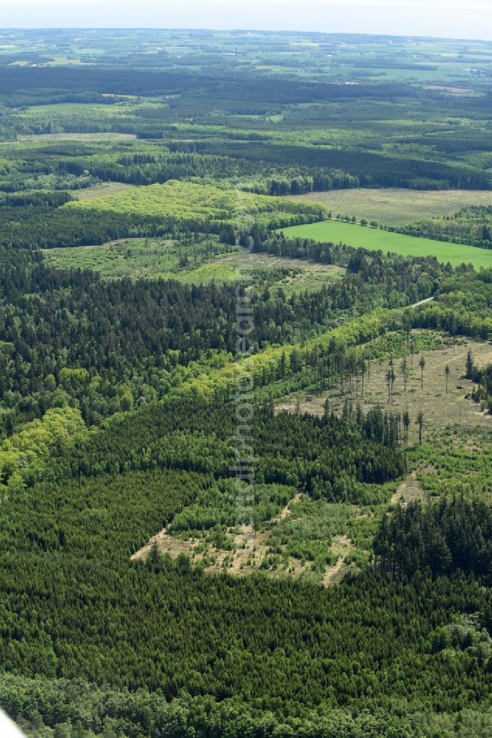 Aerial image Aakirkeby - Treetops in a wooded area in Aakirkeby Bornholm Island in Region Hovedstaden, Denmark