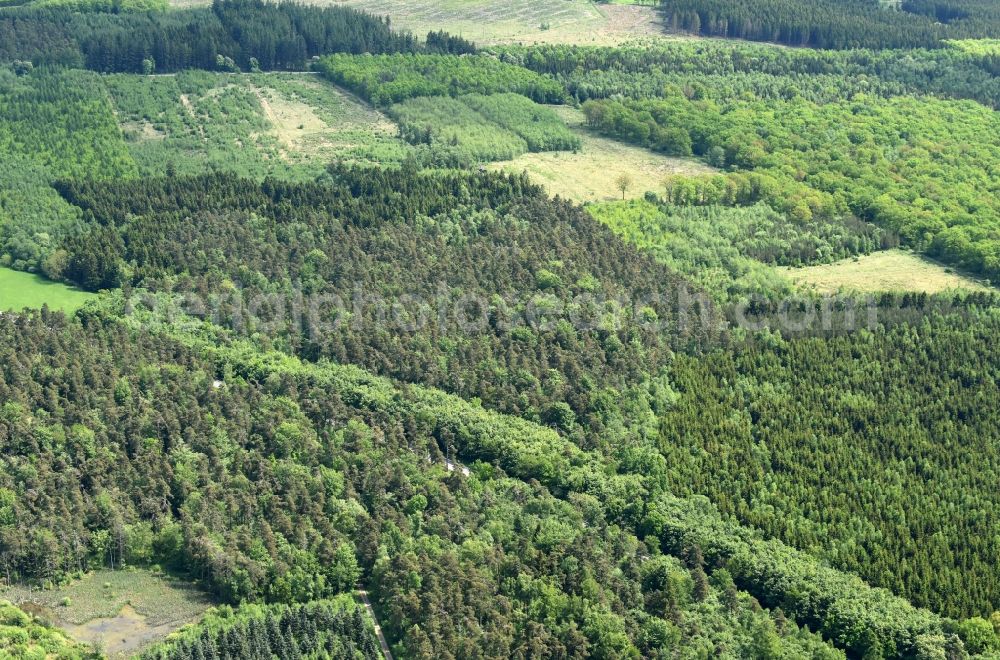 Aerial photograph Aakirkeby - Treetops in a wooded area in Aakirkeby Bornholm Island in Region Hovedstaden, Denmark