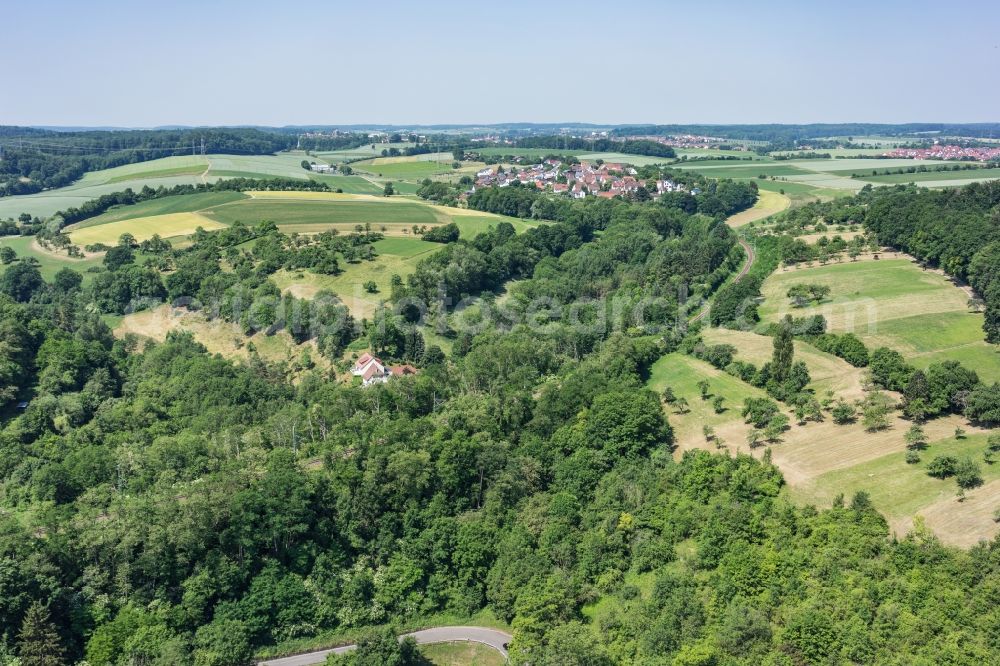Aerial photograph Bad Wimpfen - Treetops in a wooded area in Bad Wimpfen in the state Baden-Wuerttemberg