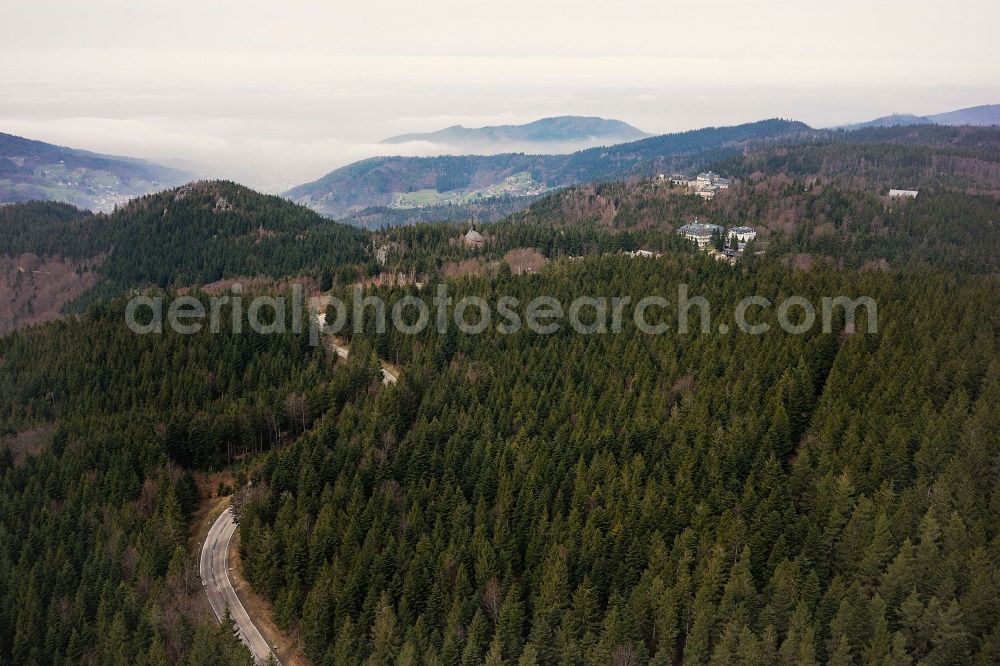 Aerial image Bühlertal - Treetops in a wooded area in Buehlertal in the state Baden-Wuerttemberg