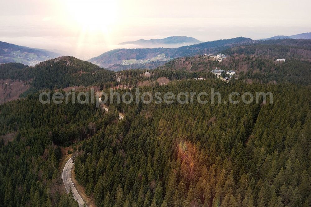 Aerial photograph Bühlertal - Treetops in a wooded area in Buehlertal in the state Baden-Wuerttemberg