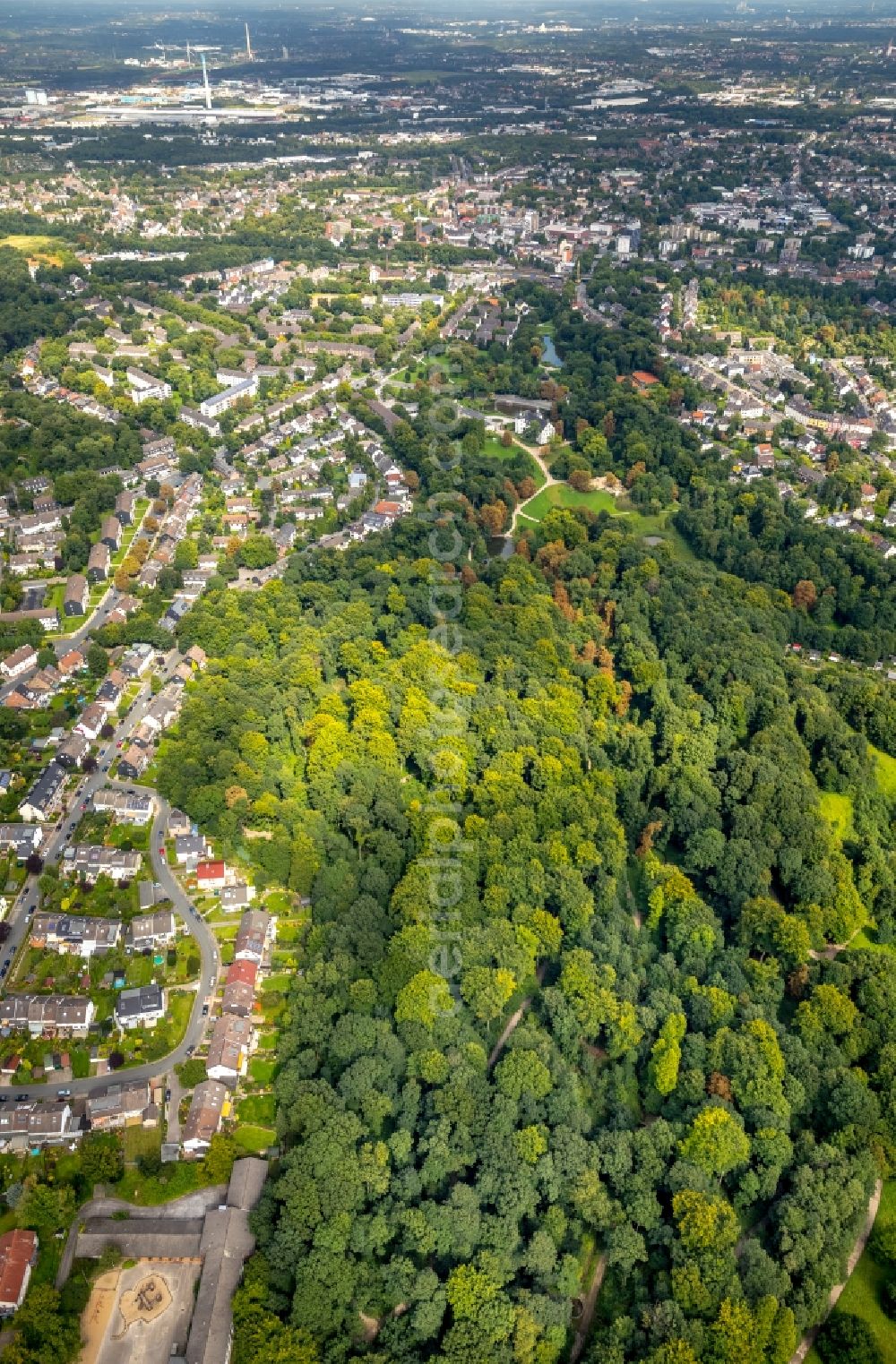 Aerial image Essen - Treetops in a wooded area in Essen in the state North Rhine-Westphalia, Germany