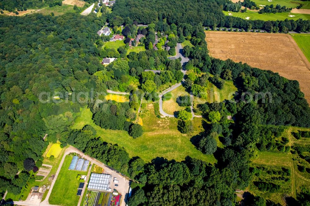 Aerial image Gelsenkirchen - Treetops in the forest district at the former children's hospital in Gelsenkirchen in North Rhine-Westphalia