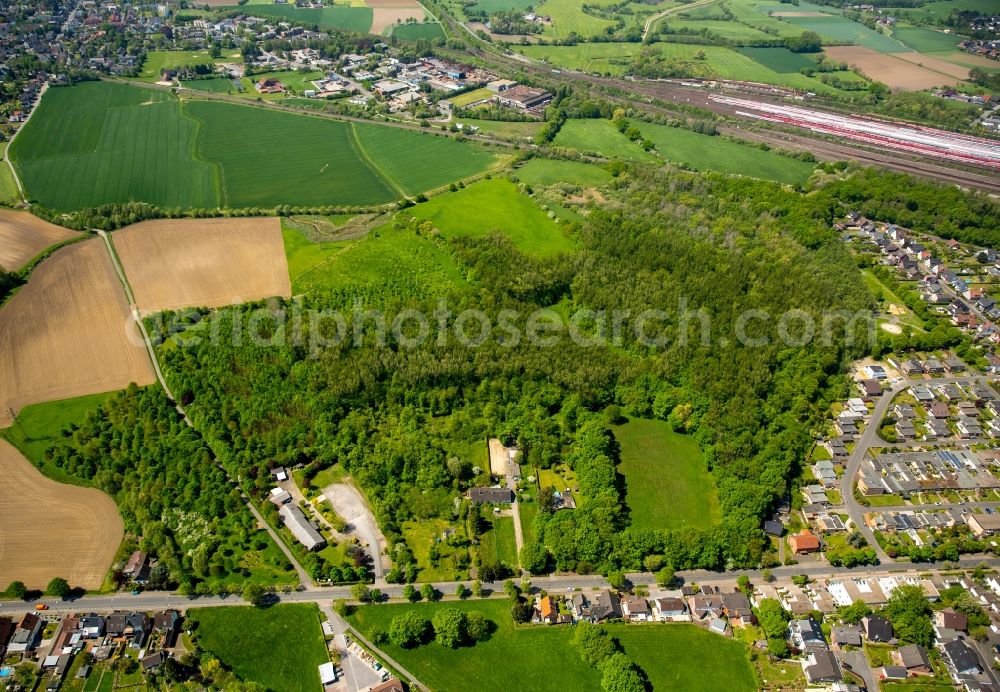 Aerial photograph Hamm - Treetops in a wooded area in Hamm in the state North Rhine-Westphalia