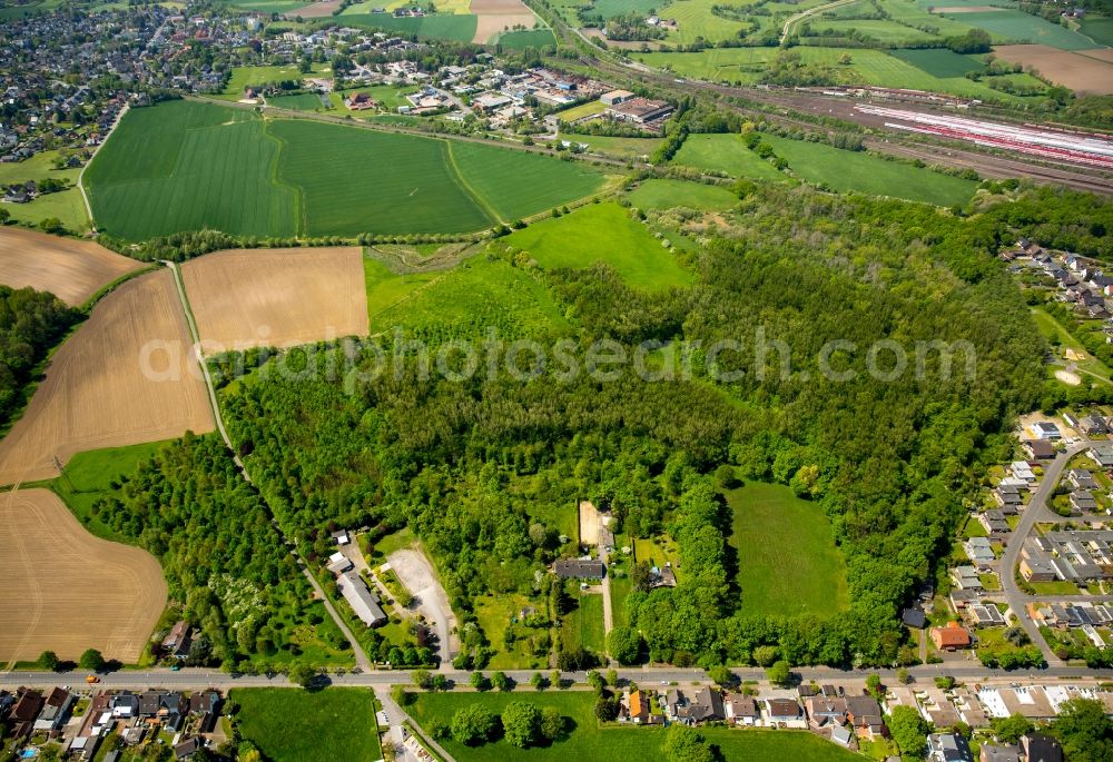 Hamm from above - Treetops in a wooded area in Hamm in the state North Rhine-Westphalia