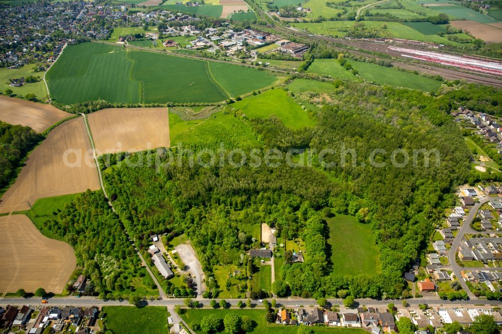 Hamm from the bird's eye view: Treetops in a wooded area in Hamm in the state North Rhine-Westphalia