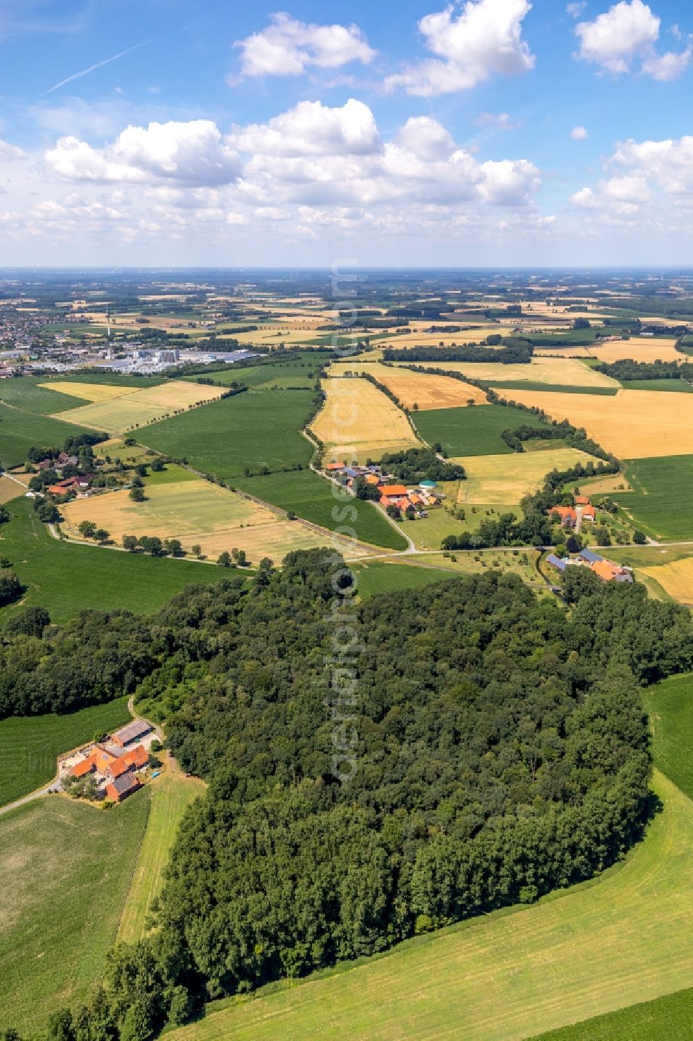 Aerial photograph Hardt - Treetops in a wooded area in Hardt in the state North Rhine-Westphalia, Germany