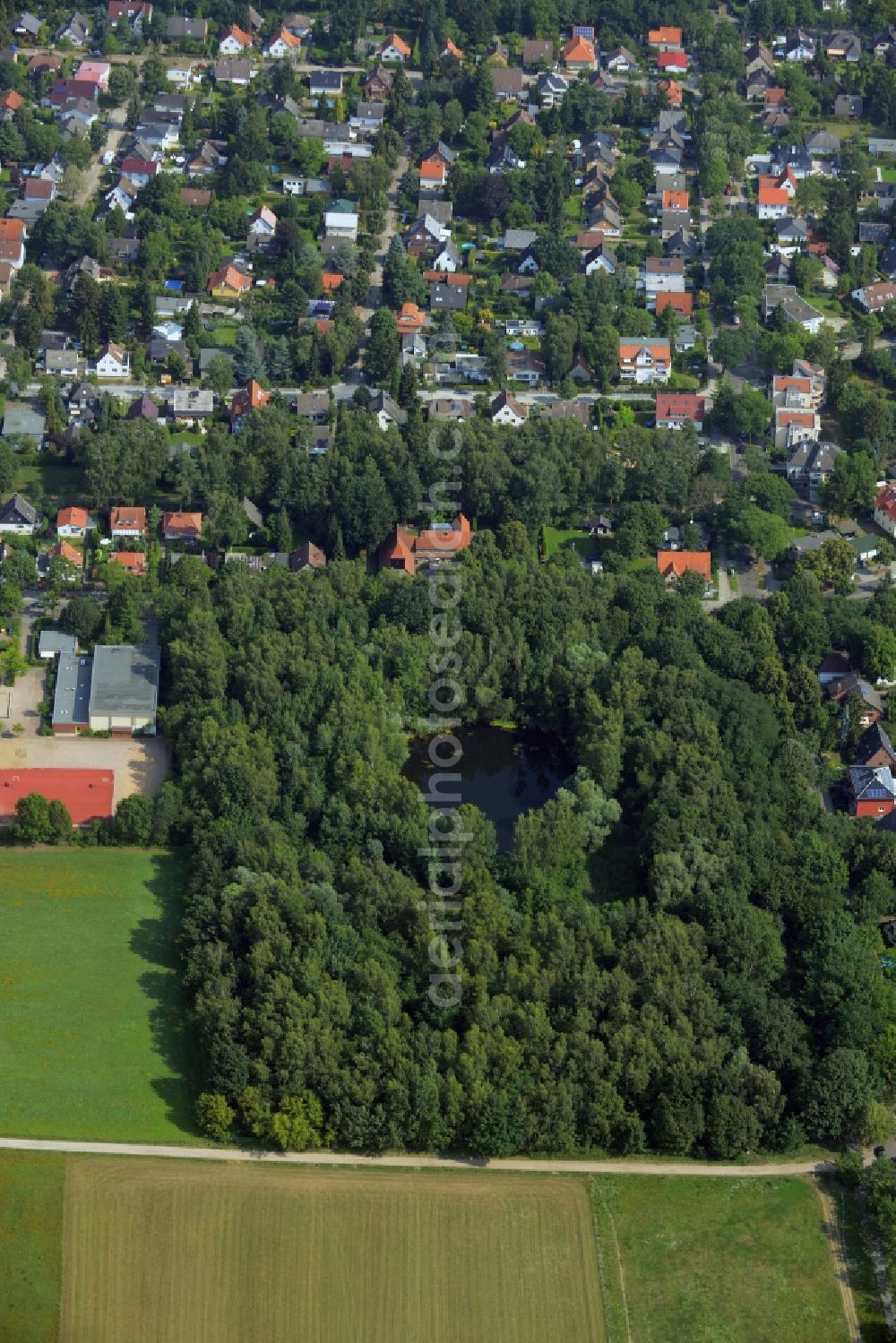 Aerial image Berlin - Treetops in a wooded area around the Mittelfeldteich in Heiligensee, Reinickendorf in Berlin in Germany