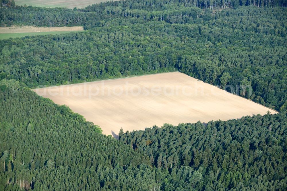 Hörselberg-Hainich from the bird's eye view: Treetops in a wooded area in Hoerselberg-Hainich in the state Thuringia