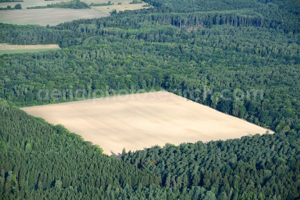 Aerial image Hörselberg-Hainich - Treetops in a wooded area in Hoerselberg-Hainich in the state Thuringia