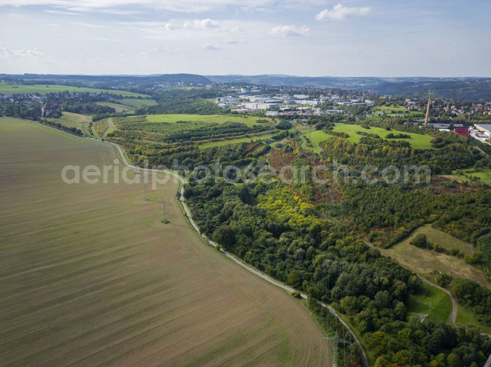 Aerial photograph Dresden - Tree tops in a deciduous forest - forest area Kaitzer Hoehe in the urban area in the district Coschuetz in Dresden in the state Saxony, Germany