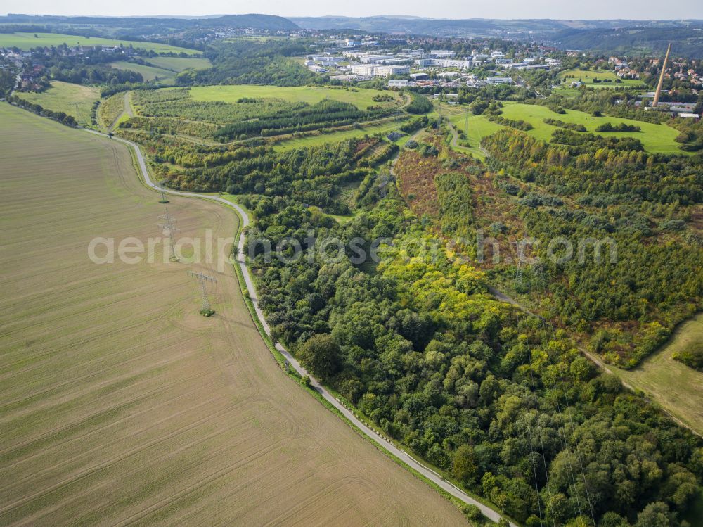 Dresden from above - Tree tops in a deciduous forest - forest area Kaitzer Hoehe in the urban area in the district Coschuetz in Dresden in the state Saxony, Germany