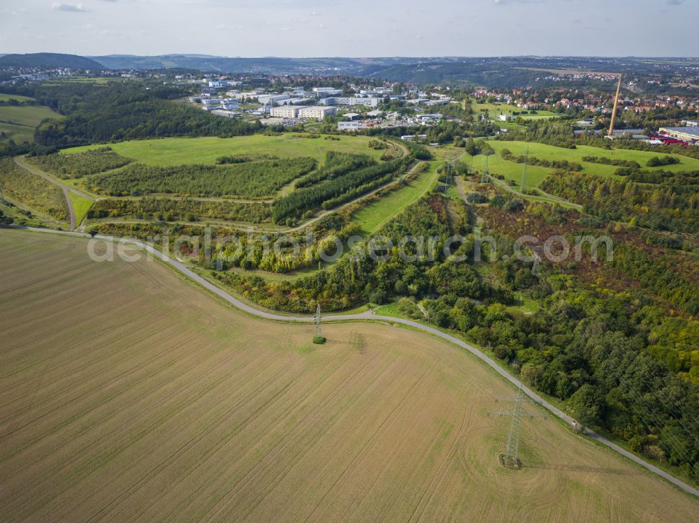 Dresden from the bird's eye view: Tree tops in a deciduous forest - forest area Kaitzer Hoehe in the urban area in the district Coschuetz in Dresden in the state Saxony, Germany