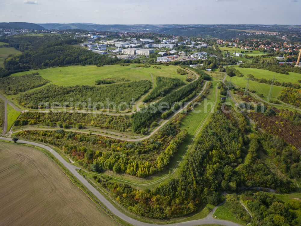 Aerial image Dresden - Tree tops in a deciduous forest - forest area Kaitzer Hoehe in the urban area in the district Coschuetz in Dresden in the state Saxony, Germany