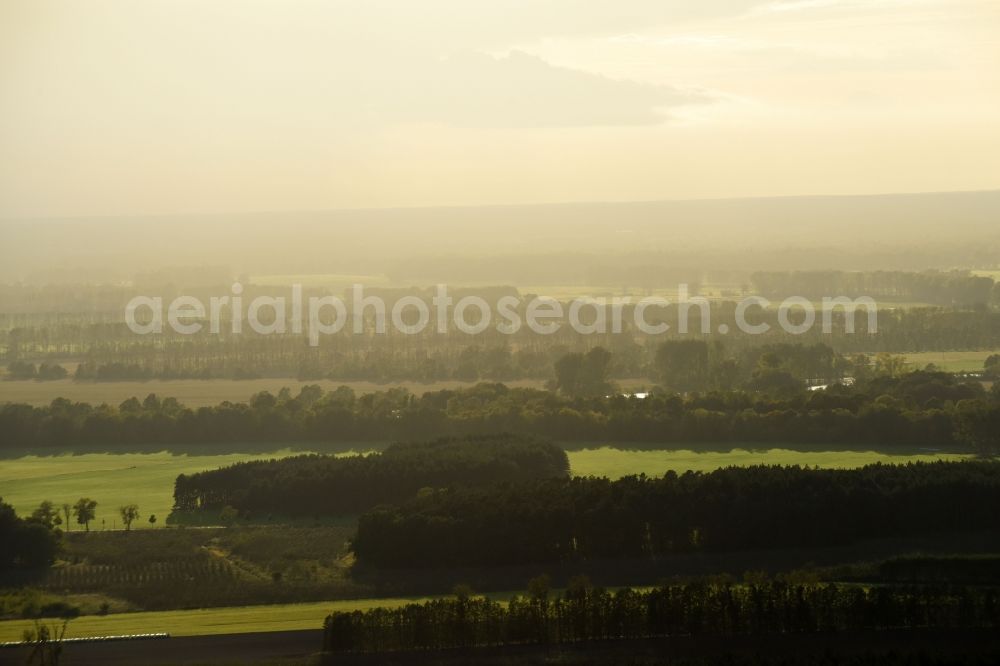 Schorfheide from the bird's eye view: Treetops in a wooded area in Schorfheide in the state Brandenburg, Germany