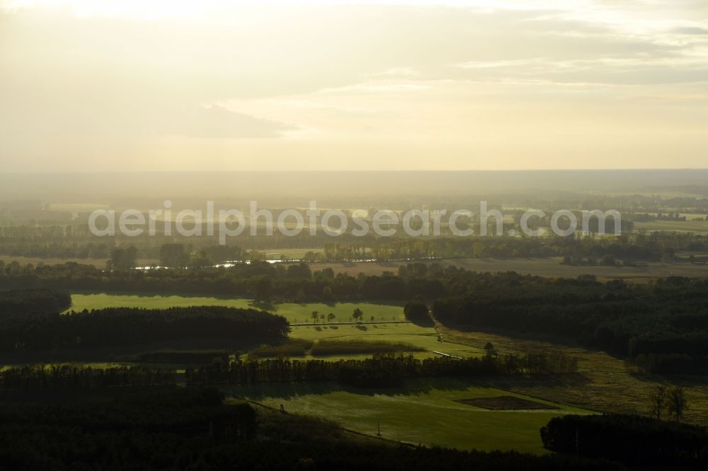 Aerial image Schorfheide - Treetops in a wooded area in Schorfheide in the state Brandenburg, Germany