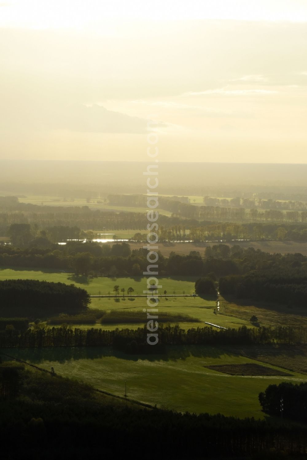 Aerial photograph Schorfheide - Treetops in a wooded area in Schorfheide in the state Brandenburg, Germany