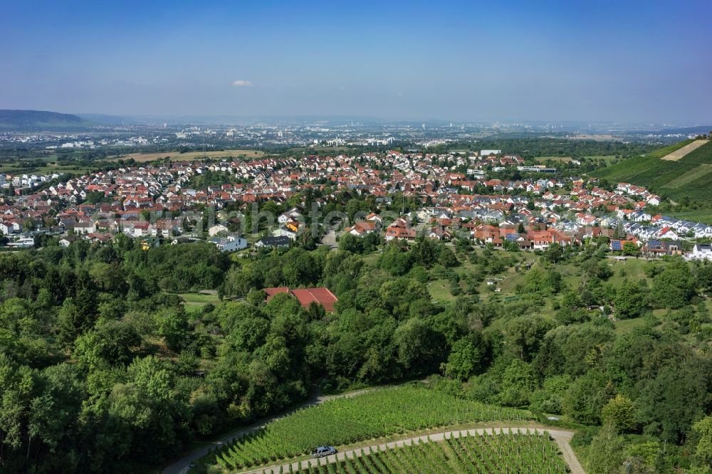 Aerial photograph Korb - Treetops in a wooded area in Korb in the state Baden-Wuerttemberg