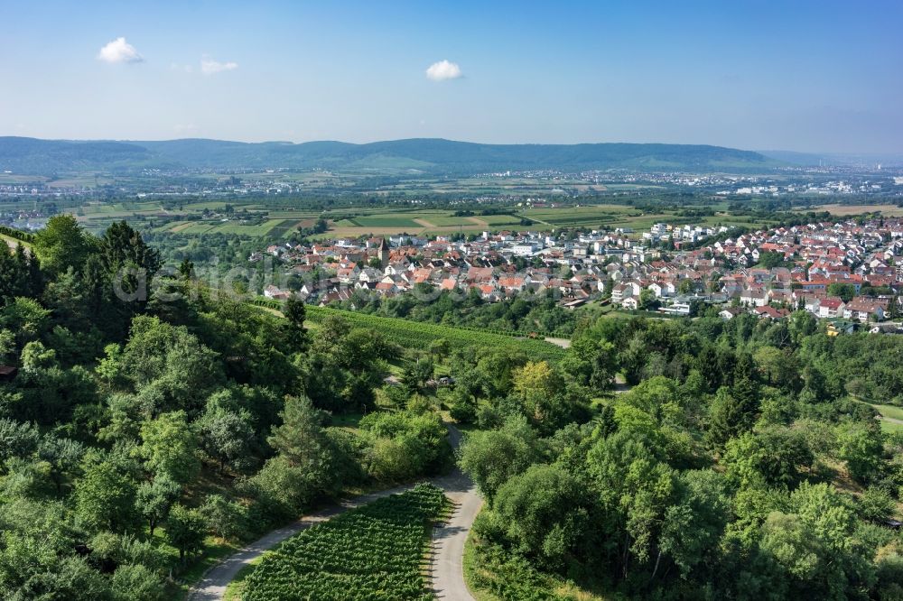 Korb from above - Treetops in a wooded area in Korb in the state Baden-Wuerttemberg