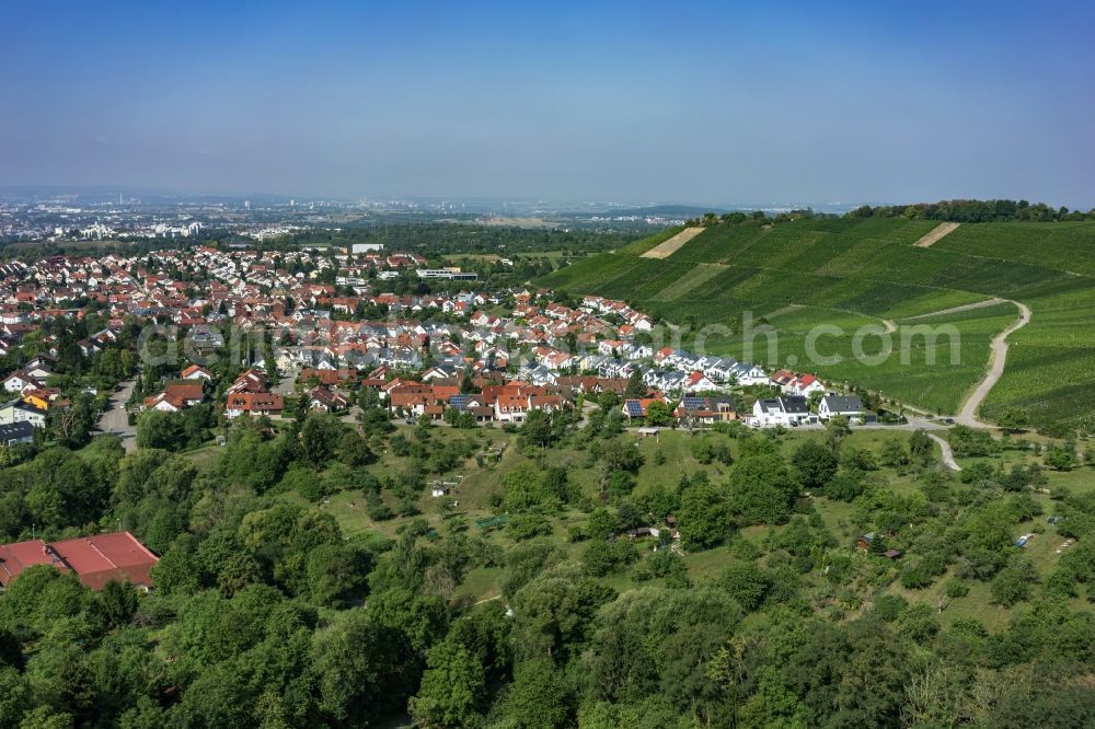 Korb from the bird's eye view: Treetops in a wooded area in Korb in the state Baden-Wuerttemberg