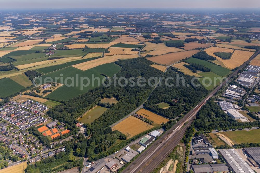 Ahlen from above - Tree tops in a deciduous forest - forest area in the urban area in Ahlen in the state North Rhine-Westphalia, Germany