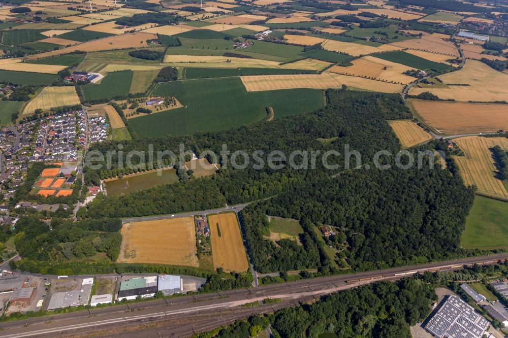 Ahlen from the bird's eye view: Tree tops in a deciduous forest - forest area in the urban area in Ahlen in the state North Rhine-Westphalia, Germany