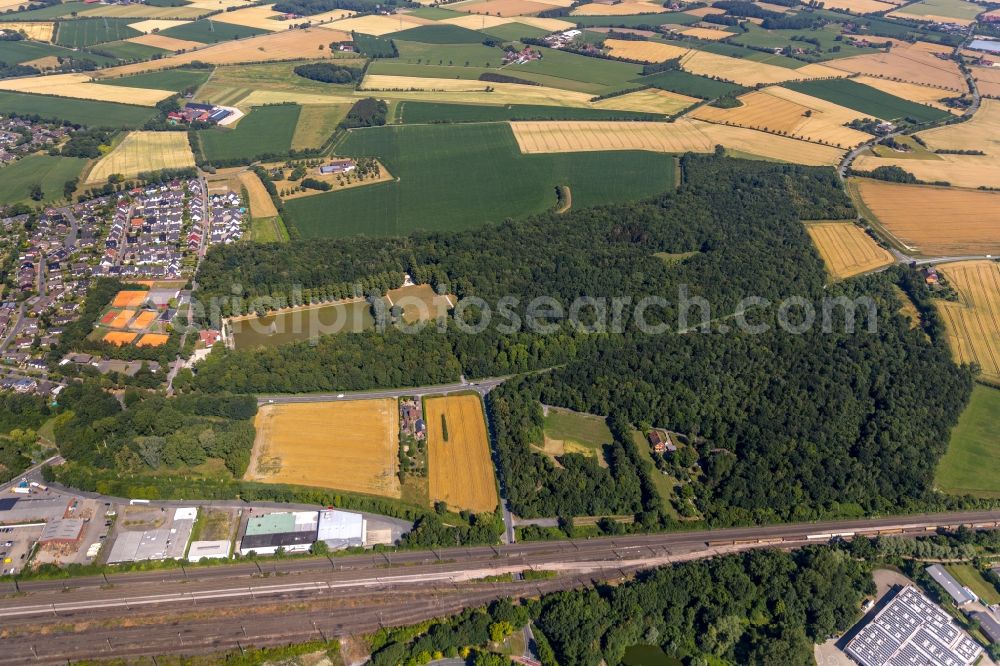 Aerial image Ahlen - Tree tops in a deciduous forest - forest area in the urban area in Ahlen in the state North Rhine-Westphalia, Germany